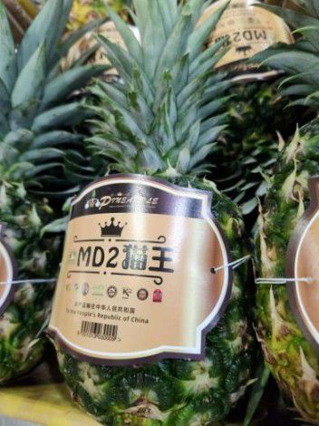 万众期待的马来西亚 MD2 猫王黄金凤梨现进军中国，亮相第19届东博会农业展休闲区蓝鸢梦想 - Www.slyday.coM