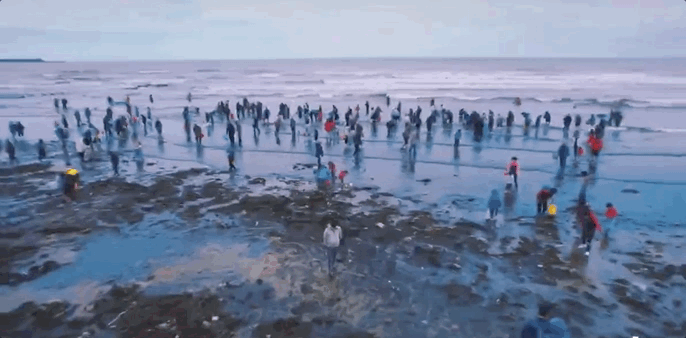 这两天，青岛人被5条热搜急红了眼！指着家门口的大海一通抱怨：你欠我们每个人500斤海鲜休闲区蓝鸢梦想 - Www.slyday.coM
