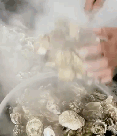 这两天，青岛人被5条热搜急红了眼！指着家门口的大海一通抱怨：你欠我们每个人500斤海鲜休闲区蓝鸢梦想 - Www.slyday.coM