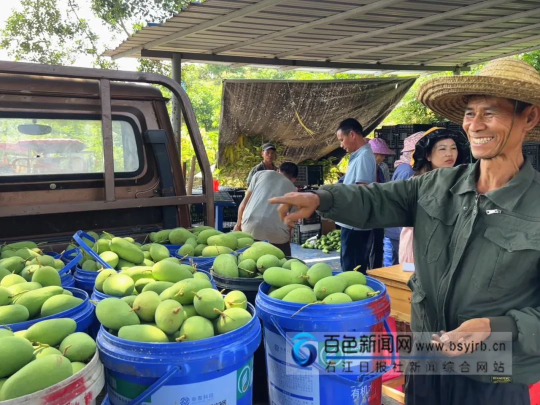 突然就有过年的气氛了！广西的砂糖橘、四季蜜芒上新，今年价格是→休闲区蓝鸢梦想 - Www.slyday.coM
