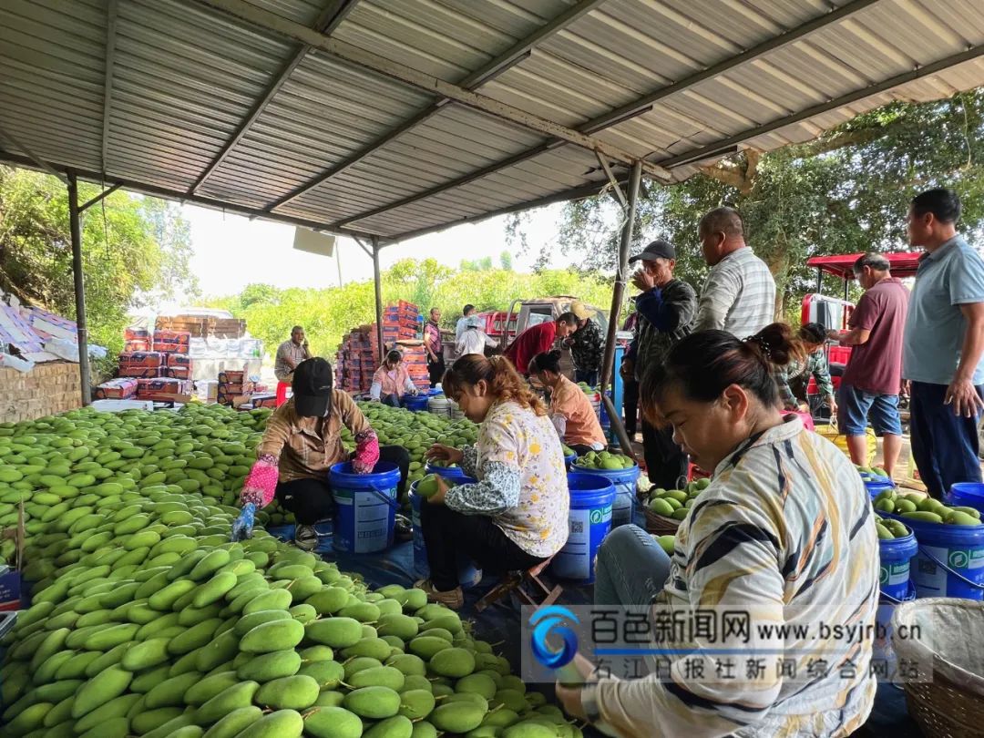 突然就有过年的气氛了！广西的砂糖橘、四季蜜芒上新，今年价格是→休闲区蓝鸢梦想 - Www.slyday.coM