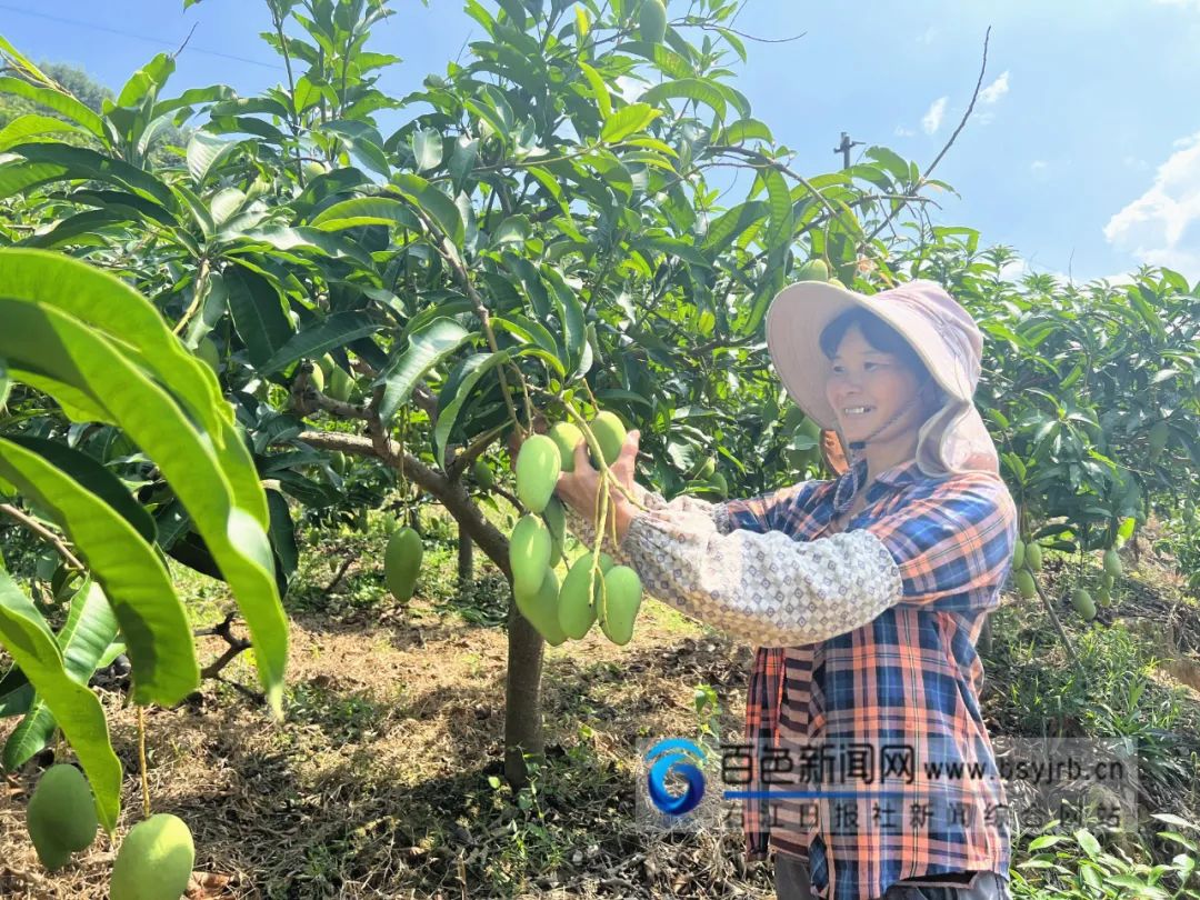 突然就有过年的气氛了！广西的砂糖橘、四季蜜芒上新，今年价格是→休闲区蓝鸢梦想 - Www.slyday.coM