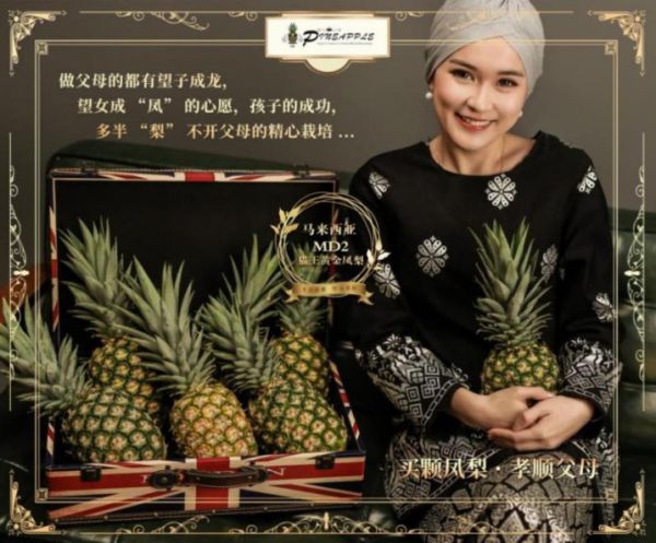 万众期待的马来西亚 MD2 猫王黄金凤梨现进军中国，亮相第19届东博会农业展休闲区蓝鸢梦想 - Www.slyday.coM