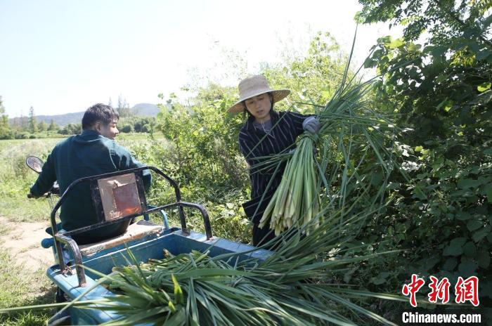 【十年@每一个奋斗的你】普通农民的十年“种田人生”：土地是田园，也是家园休闲区蓝鸢梦想 - Www.slyday.coM