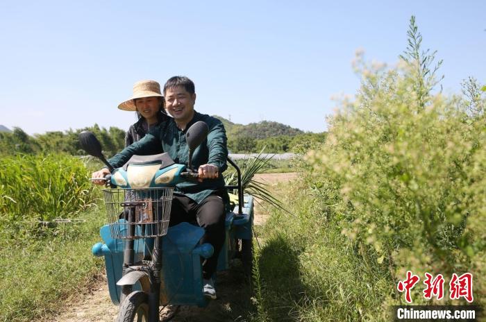 【十年@每一个奋斗的你】普通农民的十年“种田人生”：土地是田园，也是家园休闲区蓝鸢梦想 - Www.slyday.coM