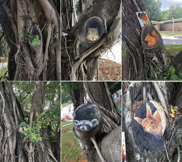 “神仙保安”！52岁的他，把公园变成“动物世界”休闲区蓝鸢梦想 - Www.slyday.coM