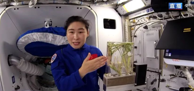 中国人的“太空菜园”，展示！休闲区蓝鸢梦想 - Www.slyday.coM