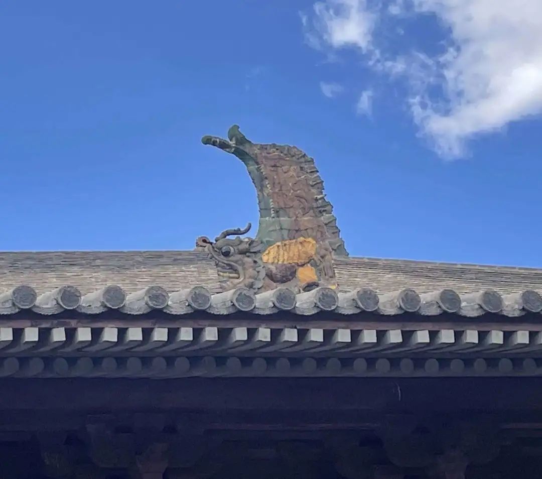 最被低估的旅游宝地，去一次根本不够休闲区蓝鸢梦想 - Www.slyday.coM