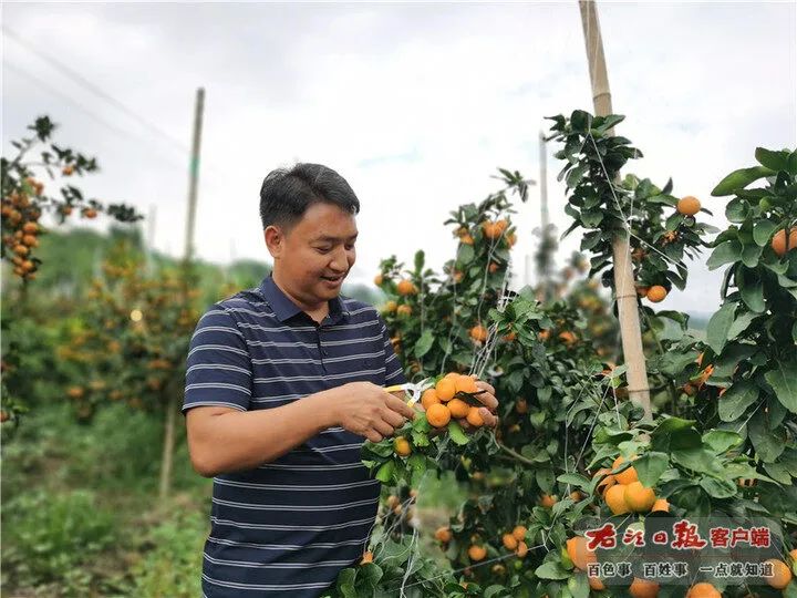 突然就有过年的气氛了！广西的砂糖橘、四季蜜芒上新，今年价格是→休闲区蓝鸢梦想 - Www.slyday.coM