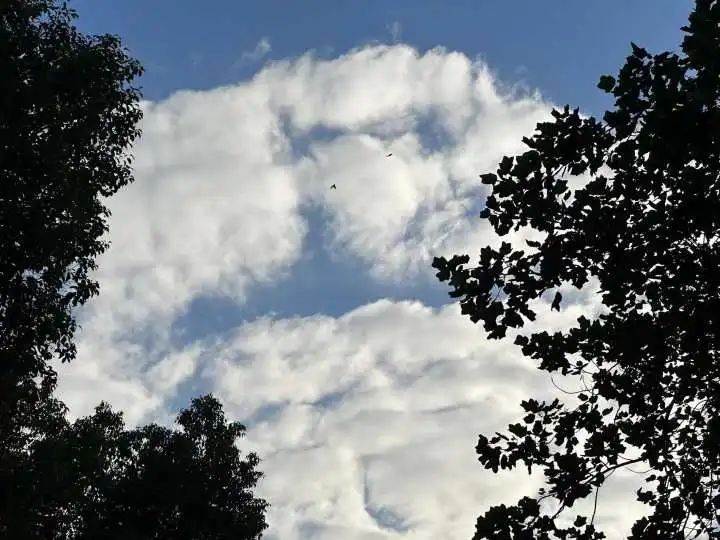 杭州天空又火了，今天一幕刷屏朋友圈！但台风和冷空气马上要来休闲区蓝鸢梦想 - Www.slyday.coM