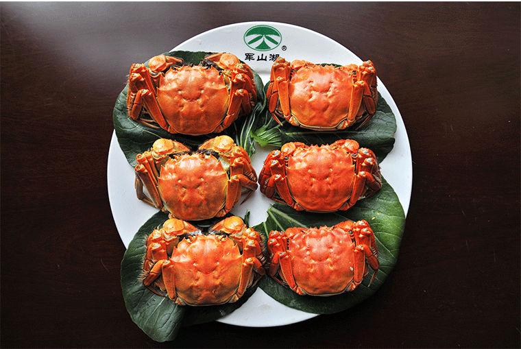 秋日如诗的江西，应配以美食!休闲区蓝鸢梦想 - Www.slyday.coM