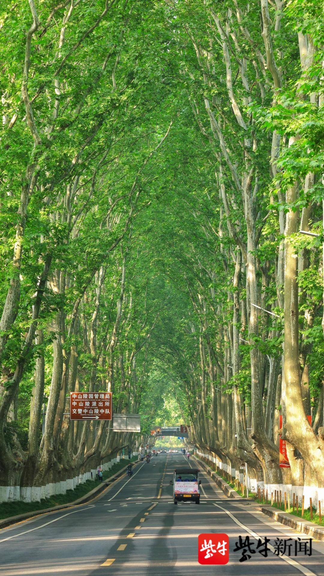 爱春天爱他的什么人们爱夏天爱他的什么人们爱秋天爱他的什么人们爱冬天爱他的什么用《某某》中的内容写?