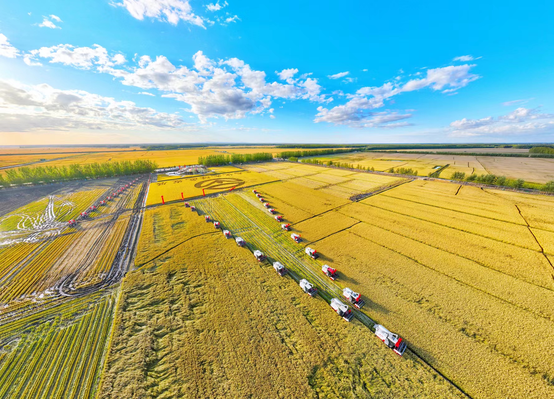 良田绘丰景黑龙江秋收一线见闻