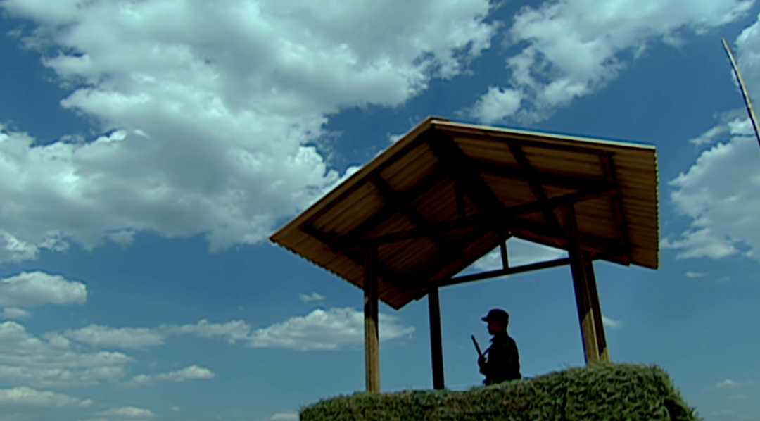 5,献给所有仍在为"答案"焦虑的人|许三多|成才|袁朗_新浪新闻