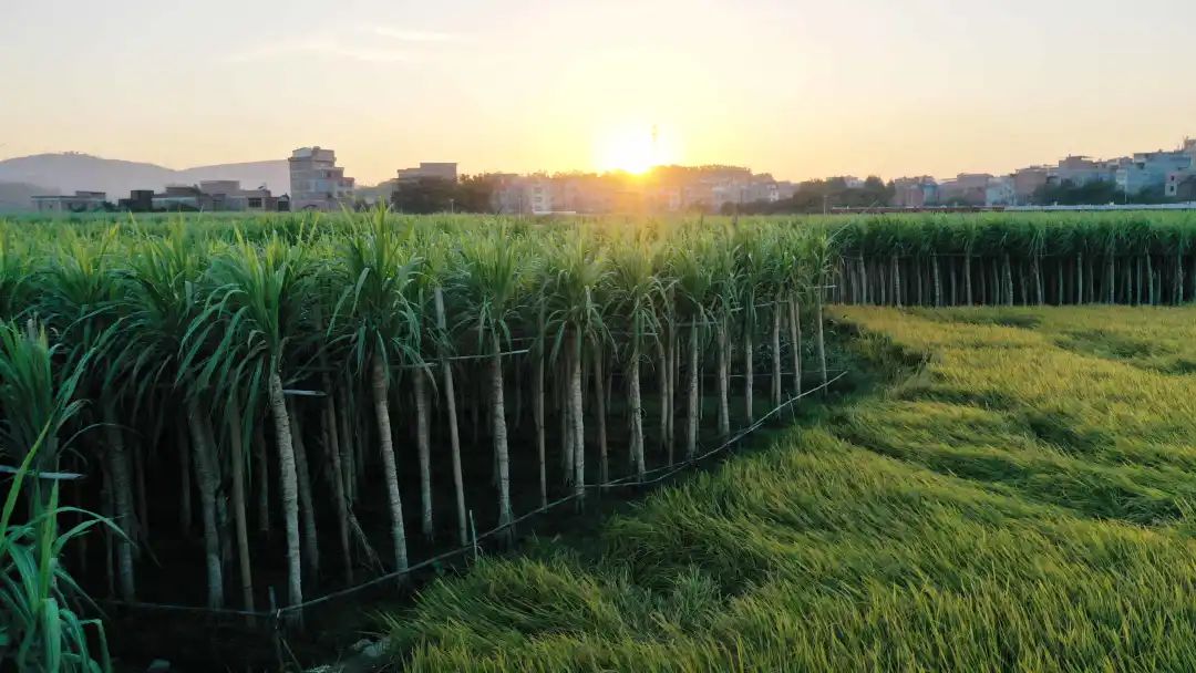 秋日如诗的江西，应配以美食!休闲区蓝鸢梦想 - Www.slyday.coM