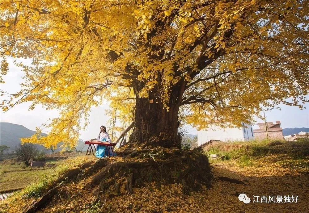秋日如诗的江西，应配以美食!休闲区蓝鸢梦想 - Www.slyday.coM