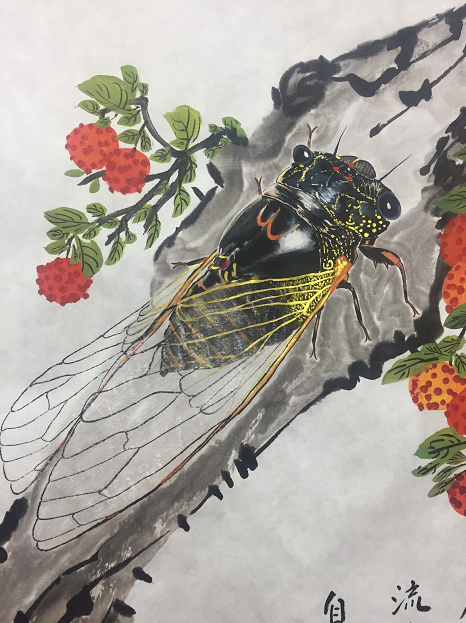 郭明超画蝉特点风格独特设计.金银墨点染.写真.