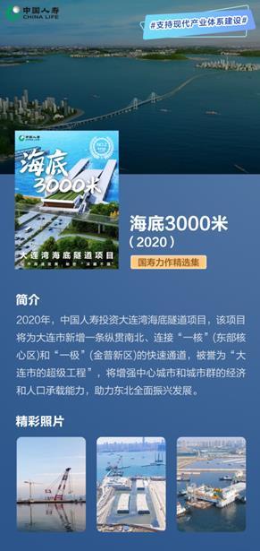 国寿这十年 | 积极融入新发展格局，着力构建新投资体系
