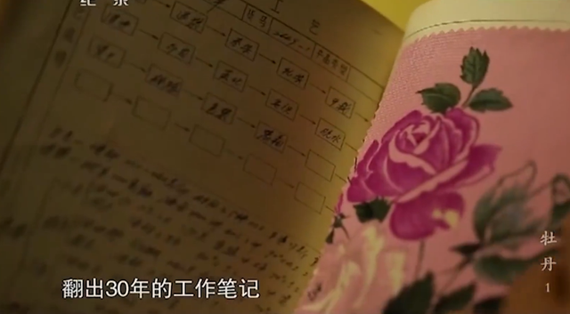 时隔10年，它怎么又上热搜了…休闲区蓝鸢梦想 - Www.slyday.coM