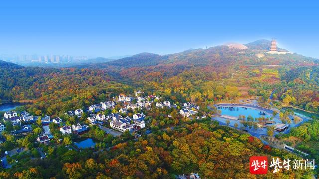 矢志心向党 奋力苏新篇|南京江宁谷里:厚植幸福底色 绘就美丽乡村五彩画卷