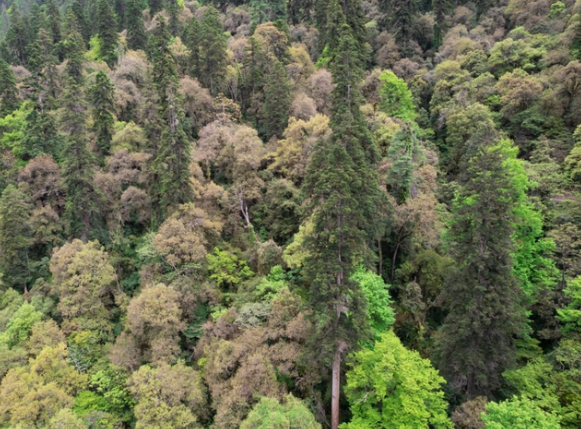 从“吃货三问”到“爬树测高”，敬畏自然才是最终的落脚休闲区蓝鸢梦想 - Www.slyday.coM