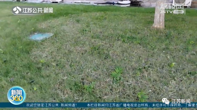 差点吃秃了！走失小马驹大啃派出所草坪！好在……休闲区蓝鸢梦想 - Www.slyday.coM