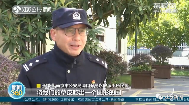 差点吃秃了！走失小马驹大啃派出所草坪！好在……休闲区蓝鸢梦想 - Www.slyday.coM