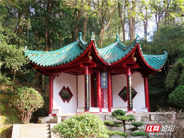 阅岁月之美，品君山秋色，这又是一处让人心动的地方休闲区蓝鸢梦想 - Www.slyday.coM