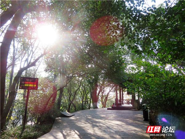 阅岁月之美，品君山秋色，这又是一处让人心动的地方休闲区蓝鸢梦想 - Www.slyday.coM