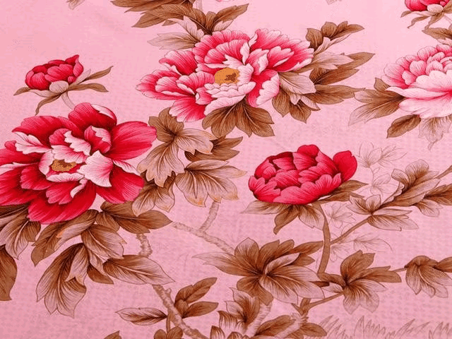 时隔10年，它怎么又上热搜了…休闲区蓝鸢梦想 - Www.slyday.coM