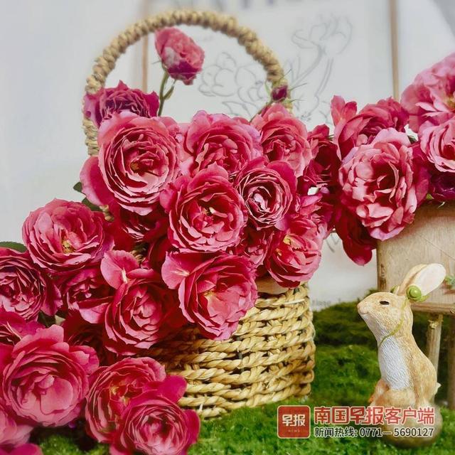 晚安十点（2022.10.13）丨这群南宁人又有新玩物！想成为一个浪漫的人，从这件事开始→休闲区蓝鸢梦想 - Www.slyday.coM