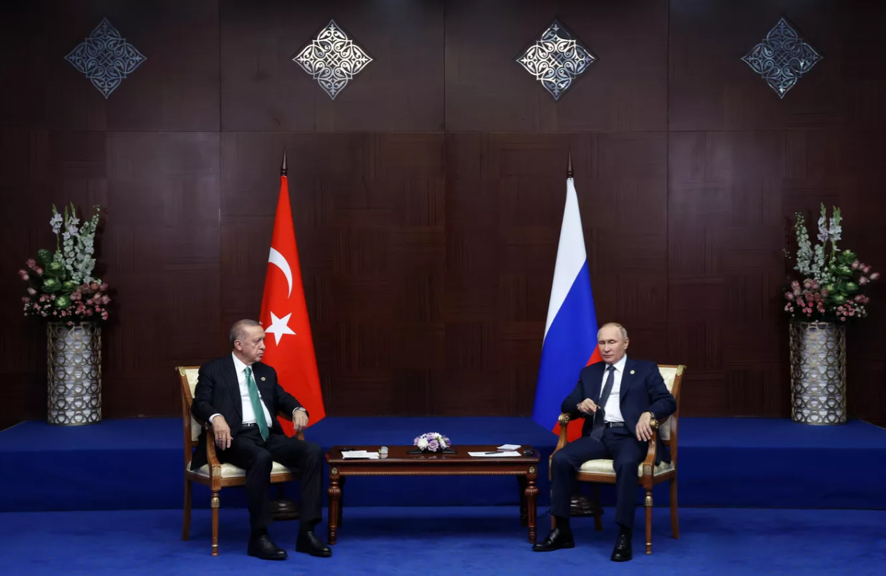 普京与埃尔多安举行双边会谈，图自俄新社