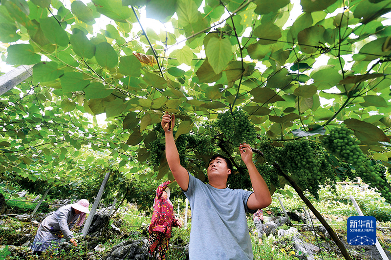 大石山里光阴的故事，有了绿色版本休闲区蓝鸢梦想 - Www.slyday.coM