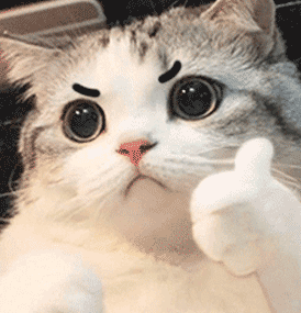 天下苦份子钱久矣！这场婚礼的全新解决之道，让人从此实现“份子钱自由”！休闲区蓝鸢梦想 - Www.slyday.coM