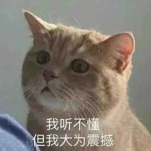 妈妈不满小升初女儿雅思考了6.5分，“考得太差”…这暑假日程表也太恐怖了休闲区蓝鸢梦想 - Www.slyday.coM