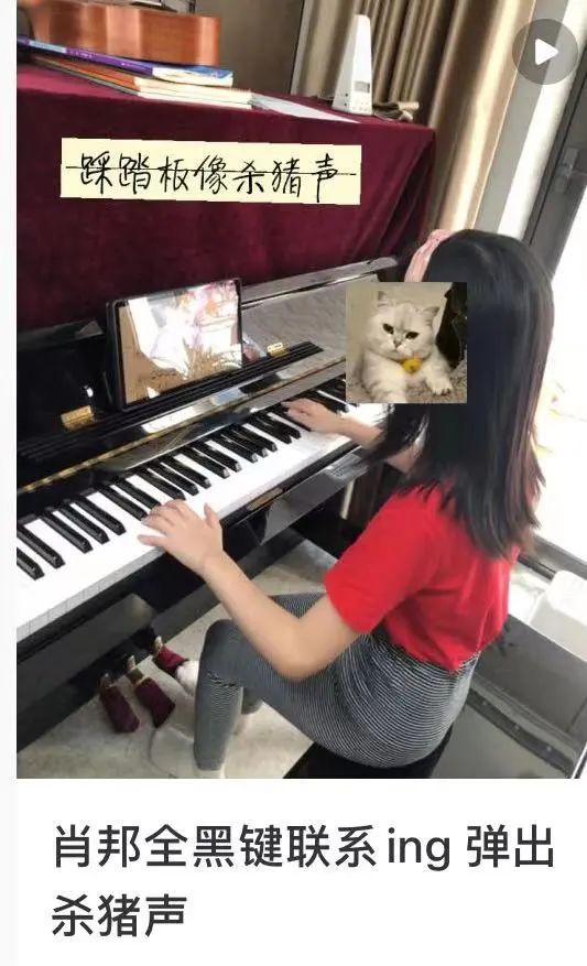 妈妈不满小升初女儿雅思考了6.5分，“考得太差”…这暑假日程表也太恐怖了休闲区蓝鸢梦想 - Www.slyday.coM