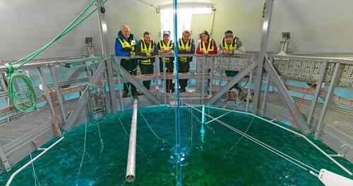 “蛋型”全封闭网箱投放第一批三文鱼苗,总数5万尾|挪威_新浪新闻