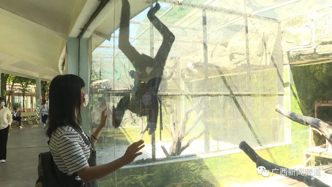 现实版疯狂动物城圈粉无数，南宁动物园回应：正常习性休闲区蓝鸢梦想 - Www.slyday.coM