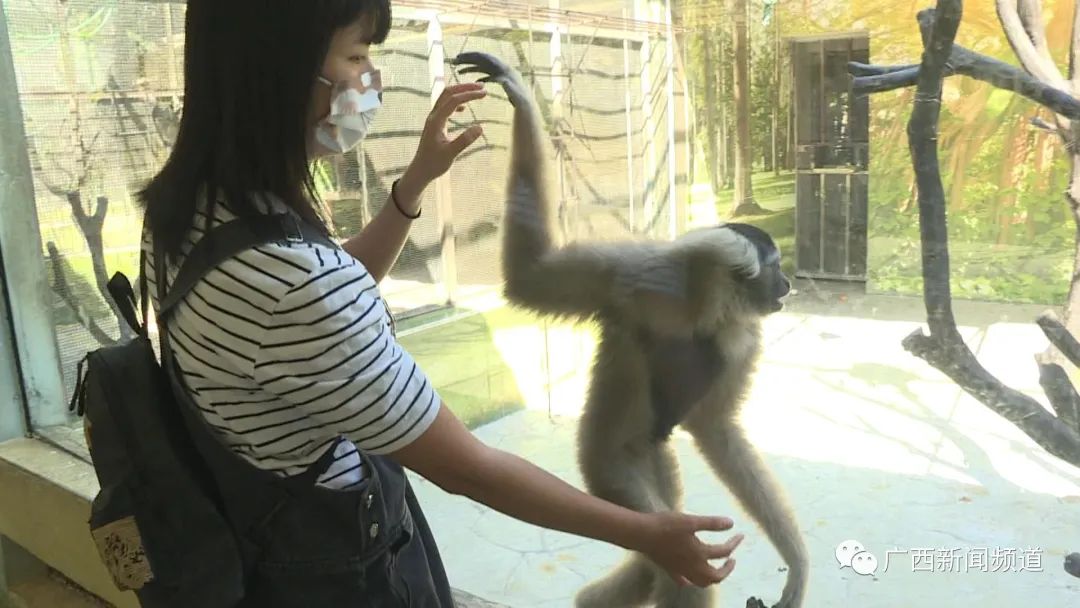 现实版疯狂动物城圈粉无数，南宁动物园回应：正常习性休闲区蓝鸢梦想 - Www.slyday.coM