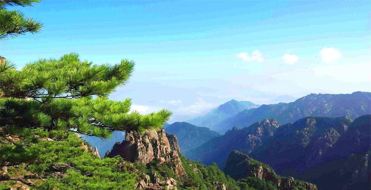 中国名山之十大著名茶山