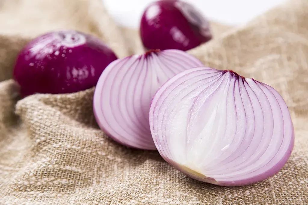 70%的人有这个毛病，吃洋葱真的能将其缩小吗？吃洋葱真正的好处是这些休闲区蓝鸢梦想 - Www.slyday.coM