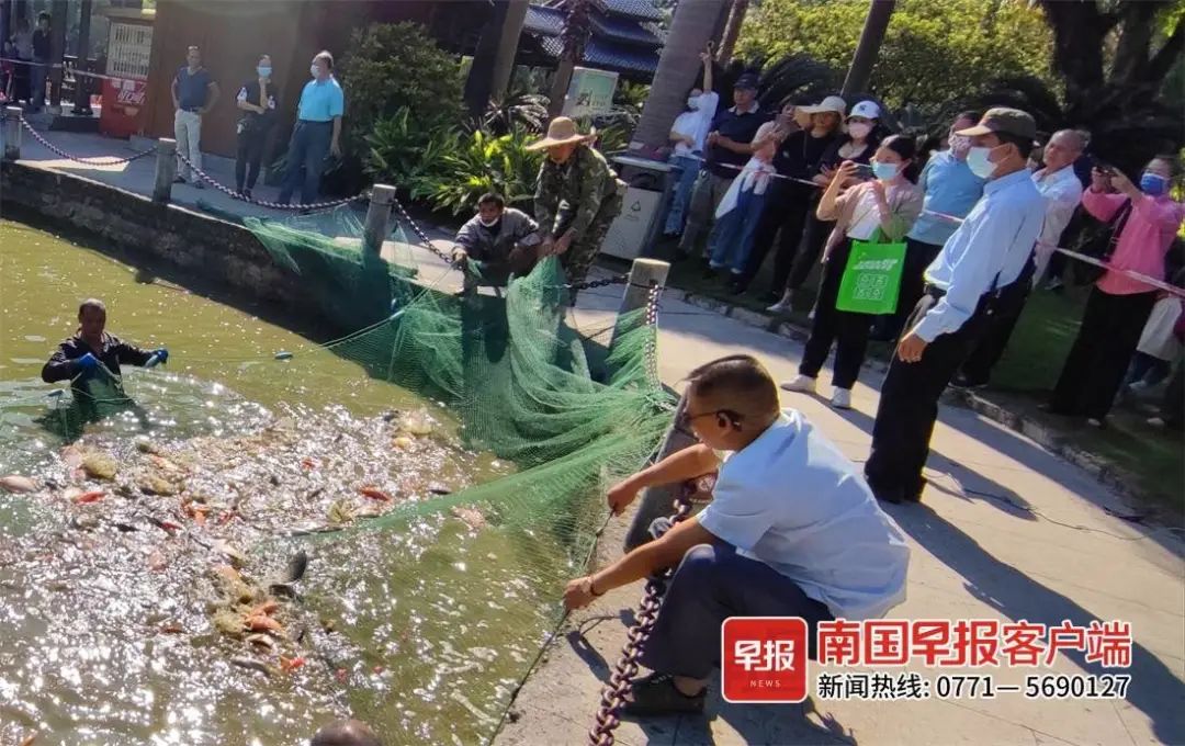 卖吗？南宁一公园捞了上千公斤“工具鱼”……休闲区蓝鸢梦想 - Www.slyday.coM