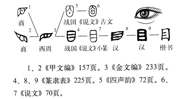 《说文解字》第633课:"欲穷千里目"里的"目"是什么意思?