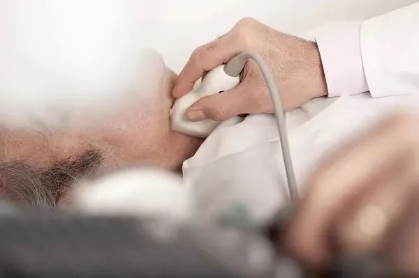 70%的人有这个毛病，吃洋葱真的能将其缩小吗？吃洋葱真正的好处是这些休闲区蓝鸢梦想 - Www.slyday.coM