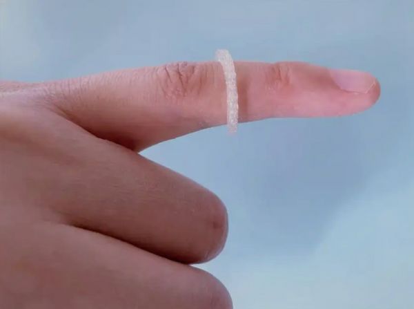 3D打印的驱蚊戒指（德国马丁·路德-哈勒-维滕贝格大学网站）