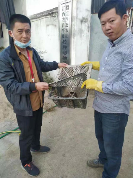 南昌市太平镇来了一位特殊“客人” ，干群携手救助国家二级保护动物休闲区蓝鸢梦想 - Www.slyday.coM