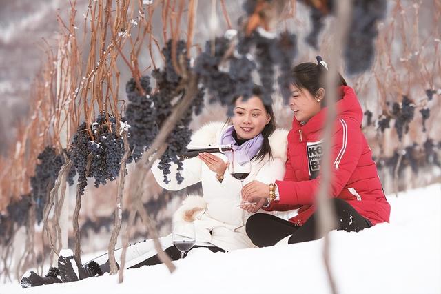 非凡十年 多彩吉地丨通化市：践行新发展理念 建设绿美“山城”休闲区蓝鸢梦想 - Www.slyday.coM