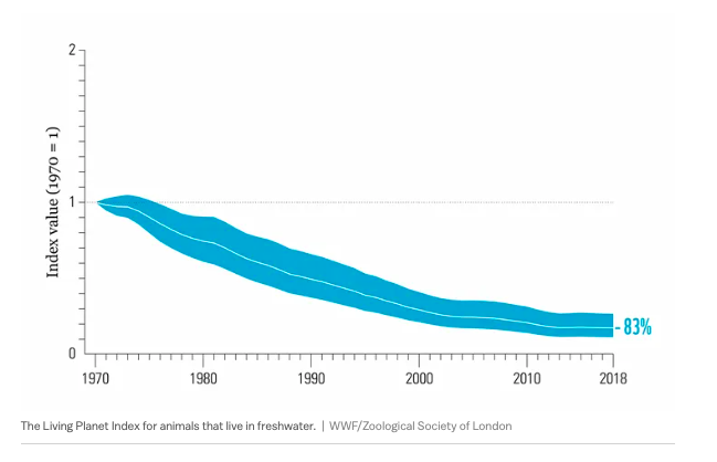 全球生物多样性成绩单：主要动物50年少七成休闲区蓝鸢梦想 - Www.slyday.coM