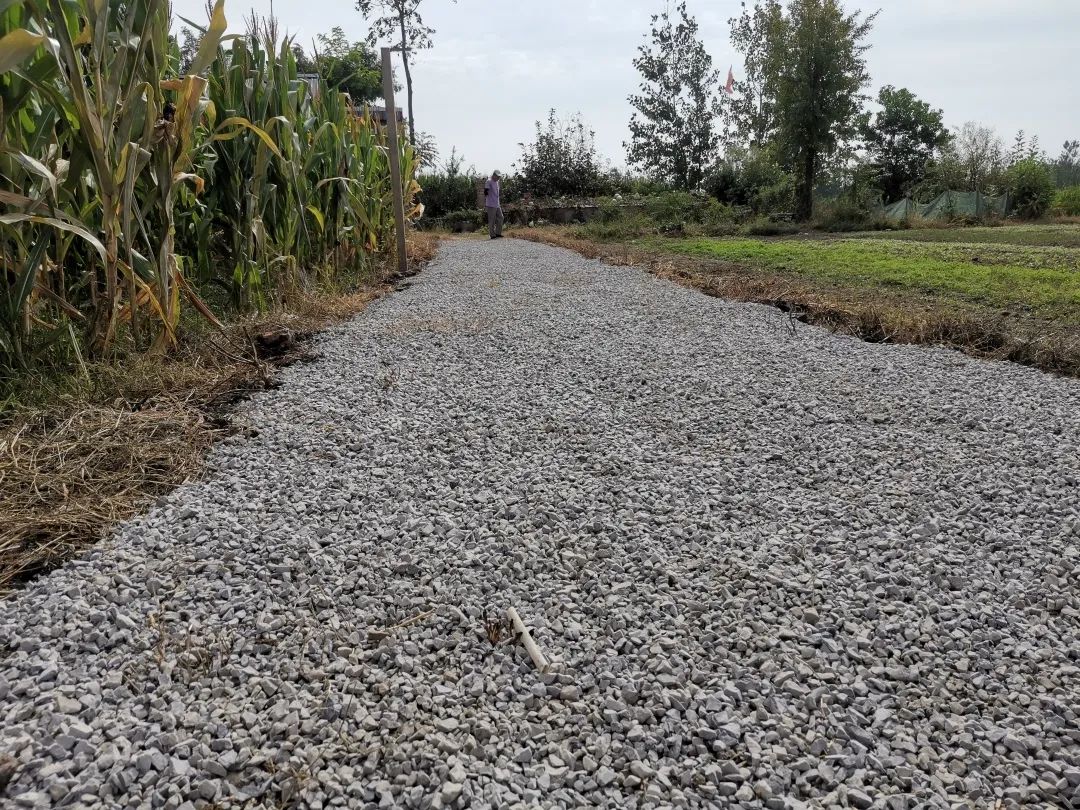 “我没有双臂，但我很感谢拥抱我的人”休闲区蓝鸢梦想 - Www.slyday.coM