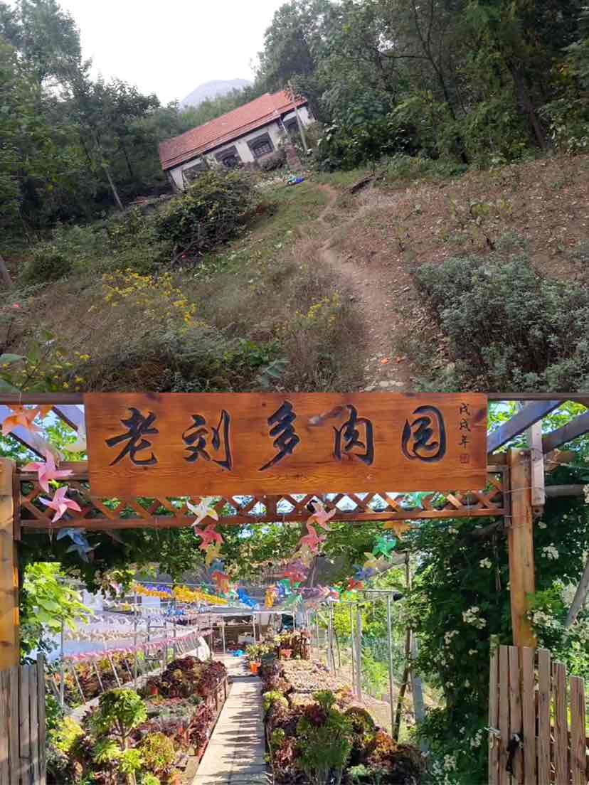 我们的十年休闲区蓝鸢梦想 - Www.slyday.coM